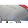 Γνήσιο VW Επένδυση Οροφής Γκρι Του Καπνού - 173867501B 1AX