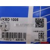 SKF Δισκόπλακα 226x10 5/100 με Ρουλεμάν Οπίσθιου Άξονα - VKBD 1005