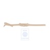 Γνήσιο VW Λωρίδα Επιβίβασης Μαρσπιέ Μπεζ Pure - 1K4853371D 7G8